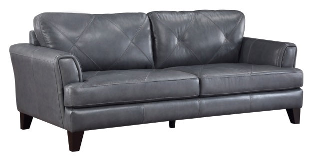 Homelegance 9279BGY-2PC 2 pc Thierry blue grey top grain leather mid-century modern sofa and love seat set