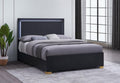 Coaster 222831Q  Rosdorf park marceline modern black finish wood gold accents and LED accent lighting queen bed