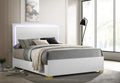 Coaster 222931Q  Rosdorf park marceline modern white finish wood gold accents and LED accent lighting queen bed
