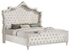 Coaster 223521Q 4 pc Antonella champagne finish wood ivory and camel velvet french inspired upholstered bedroom set