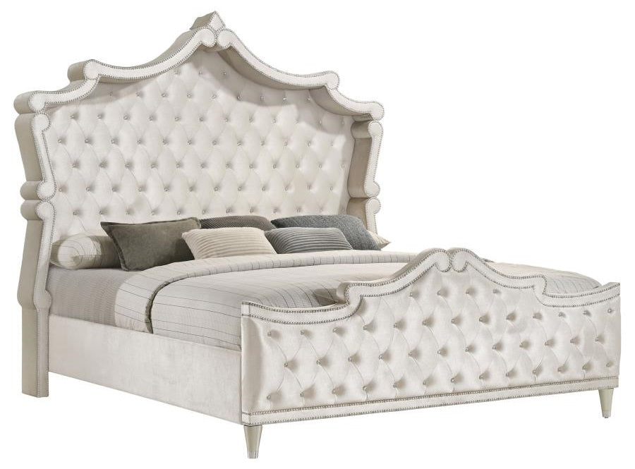 Coaster 223521Q 4 pc Antonella champagne finish wood ivory and camel velvet french inspired upholstered bedroom set