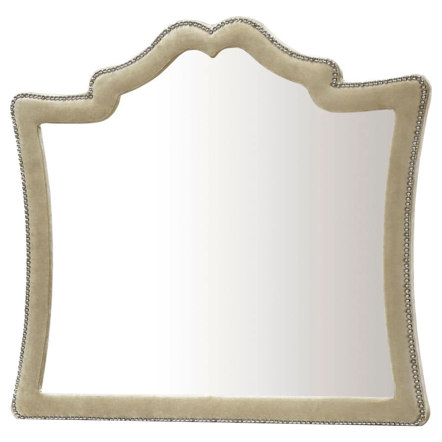 Coaster 223521Q 4 pc Antonella champagne finish wood ivory and camel velvet french inspired upholstered bedroom set
