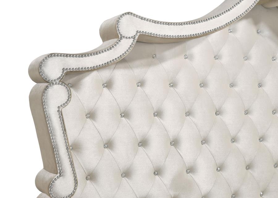 Coaster 223521Q 4 pc Antonella champagne finish wood ivory and camel velvet french inspired upholstered bedroom set