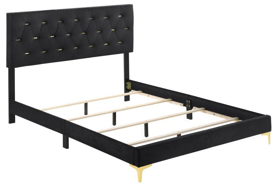Coaster 224451Q-S4 4 pc Kendall black finish wood queen bedroom set with tufted upholstered headboard gold accents