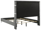 Coaster 224991Q-S4 4 pc Lucia black and silver finish wood grey velvet upholstered queen bedroom set