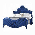Acme Dante Arched Top Blue Velvet Button Tufted Queen Bed Set – 24220Q
