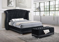 Coaster 300643Q Willa arlo interiors chappell brazille black velvet headboard queen bed set