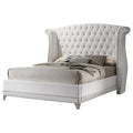 Coaster 300843KE Rosdorf park ammelie barzini white velvet tufted Eastern king bed nail head tirm accents