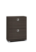 Espresso Wood 2-Drawer Shoe Cabinet – 3344-ESP