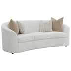 Coaster 509171-S2 2 pc Rainne latte colored fabric curved arms sofa and love seat set strick and bolton
