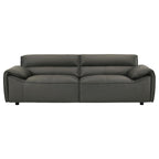 Coaster 509504-S2 2 pc Buxton graphite grey 100% top grain leather minimalism low back sofa and love seat set