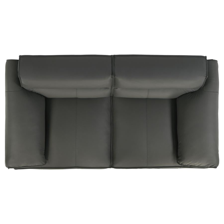 Coaster 509504-S2 2 pc Buxton graphite grey 100% top grain leather minimalism low back sofa and love seat set
