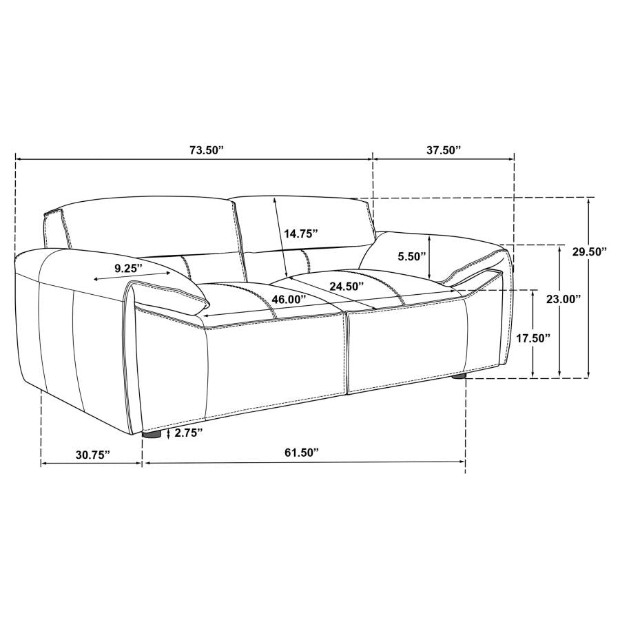 Coaster 509504-S2 2 pc Buxton graphite grey 100% top grain leather minimalism low back sofa and love seat set