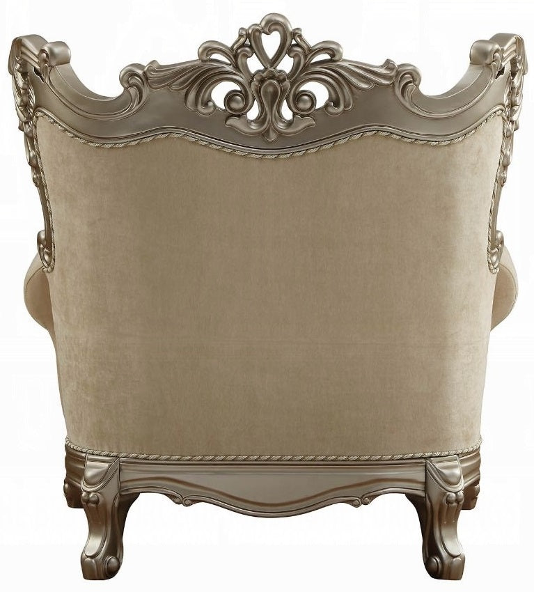 Acme 51042 Astoria grand ewan ranita ornate carved champagne finish wood fabric accent chair