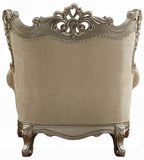 Acme 51042 Astoria grand ewan ranita ornate carved champagne finish wood fabric accent chair