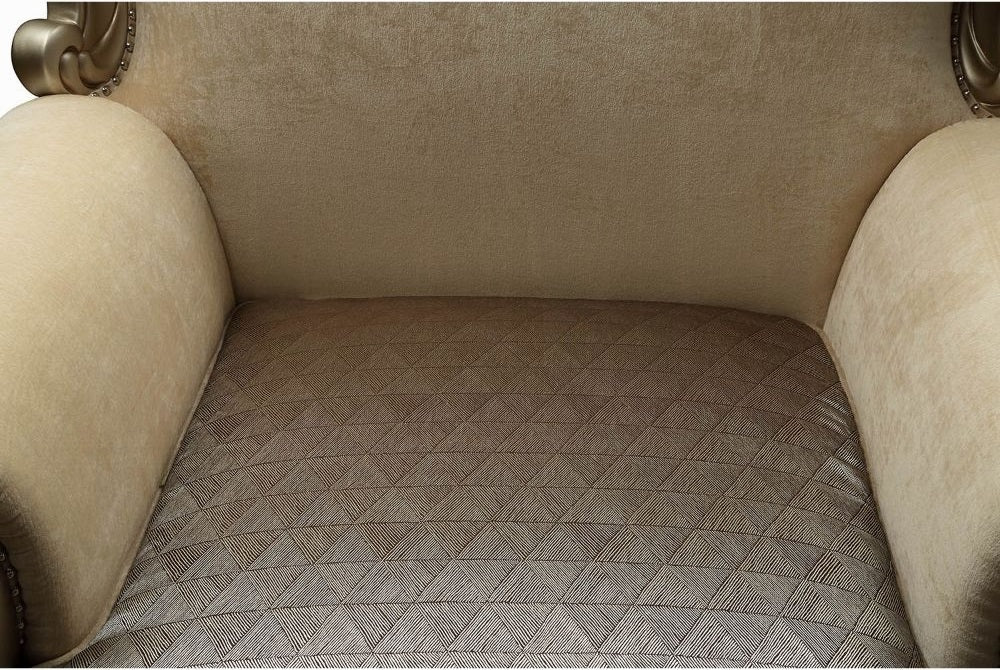 Acme 51042 Astoria grand ewan ranita ornate carved champagne finish wood fabric accent chair