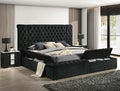 Danbury Black Velvet Tufted Queen Storage Bed with Benches – 5203BK