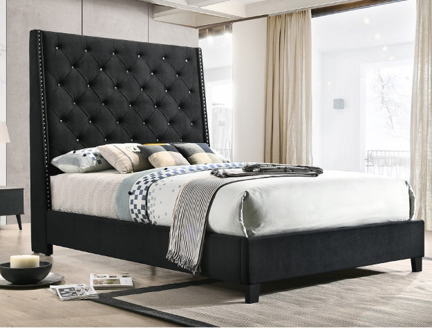 5265BK-EK Willa arlos interiors chantilly black fabric button tufted headboard eastern king bed