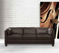 Acme 55010 Winston porter jemma Matias Mi Place modern chocolate top grain leather sofa