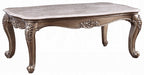 Acme 84865 Astoria grand jacqueline jayceon champagne finish wood marble top coffee table