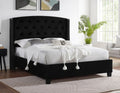 Boutern Black Velvet Fabric Tufted Queen Bed with Nailhead Trim Accents – 8618-Q