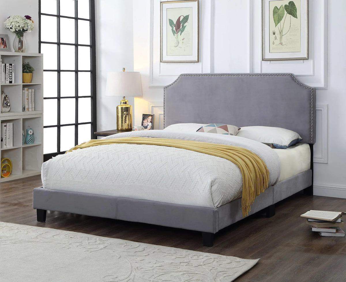 Light Grey Velvet Curved End Nailhead Trim Accents Padded Queen Bed Low Rise – 8732-Q