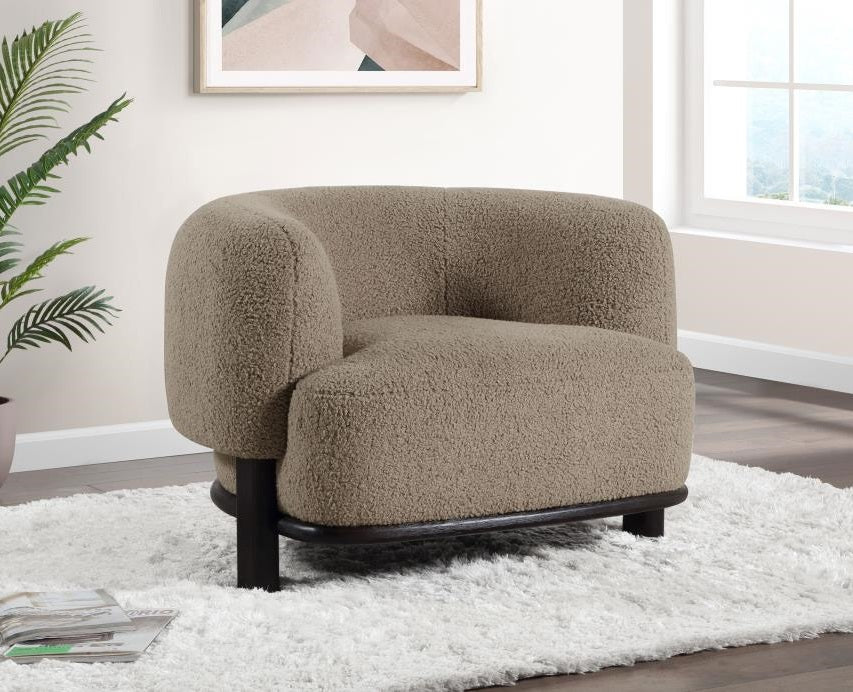 Coaster 903170 Lawler brown boucle fabric barrel back style seating black finish wood accent chair