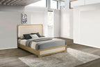 B780-4PC 4 pc Hyland natural and white finish wood queen bedroom set mid-century modern LED lighting