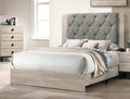 F9561Q Padded fabric headboard cream finish wood queen bed set Canora antoinette