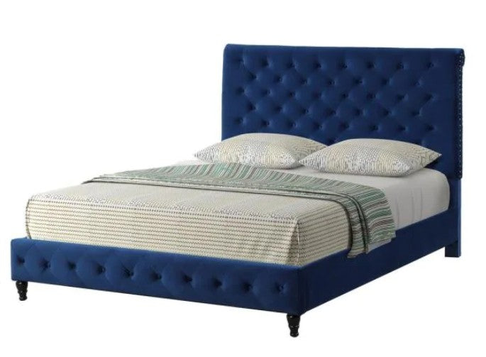 Best Master YY132-BL Willa arlo interiors loden blue velvet fabric tufted queen bed set