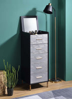 Acme AC01167 Tonwin home lockers myles black / silver and gold finish jewelry armoire cabinet