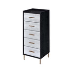 Acme AC01167 Tonwin home lockers myles black / silver and gold finish jewelry armoire cabinet