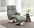 Acme AC02991 2 pc Janella Anson grey top grain leather recliner swivel chair with ottoman