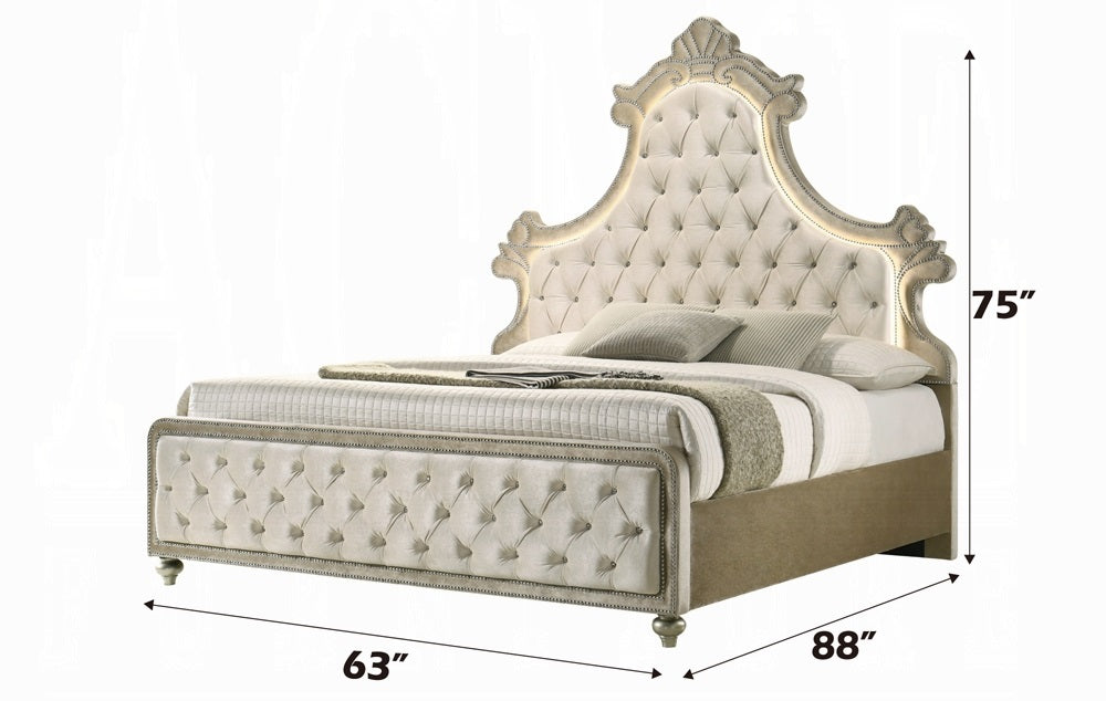 Acme BD02335Q-4PC 4 pc Lucienne beige velvet tufted ornate queen bedroom set fabric tufted upholstered