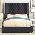 CM7669BK Willa arlo interiors Rosabelle high back black velvet fabric tufted queen bed set with nail head trim
