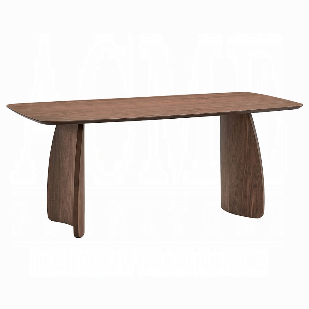 Acme DN04165-5PC 5 pc Hadasa walnut finish wood mid-century modern dining table set