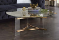 Acme LV01083 Everly quinn Sosi gold finish metal angular frame clear round glass top and legs coffee table