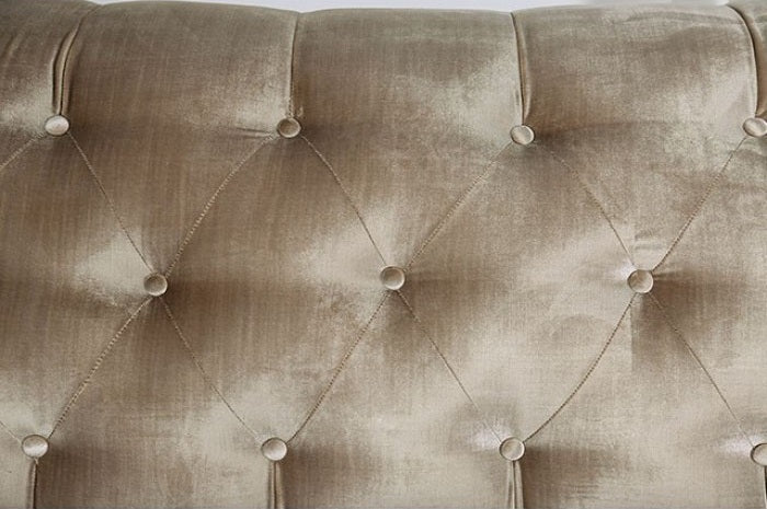 SM2685 2 pc Elicia champagne chenille fabric sofa and love seat set nail head trim curved back arms